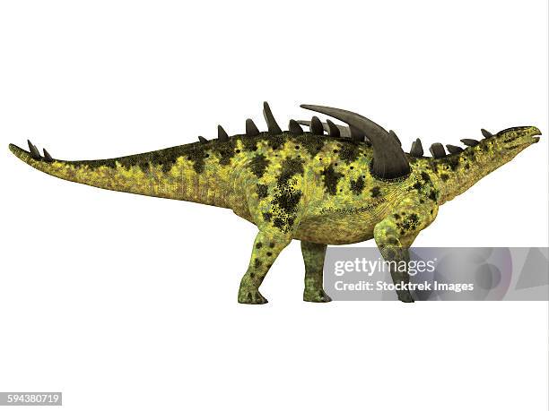 gigantspinosaurus dinosaur, white background. - scute stock illustrations