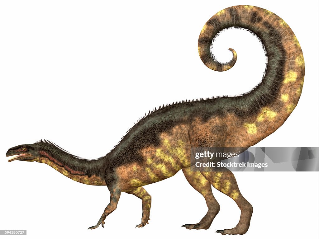 Plateosaurus dinosaur, side view.