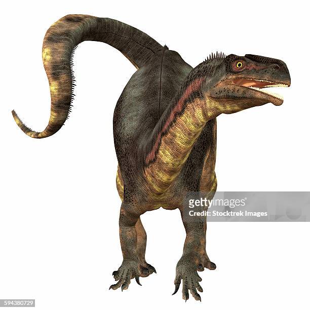 plateosaurus dinosaur, front view - triassic stock illustrations