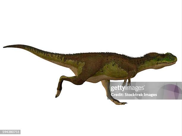 stockillustraties, clipart, cartoons en iconen met rugops dinosaur, side view. - rugops
