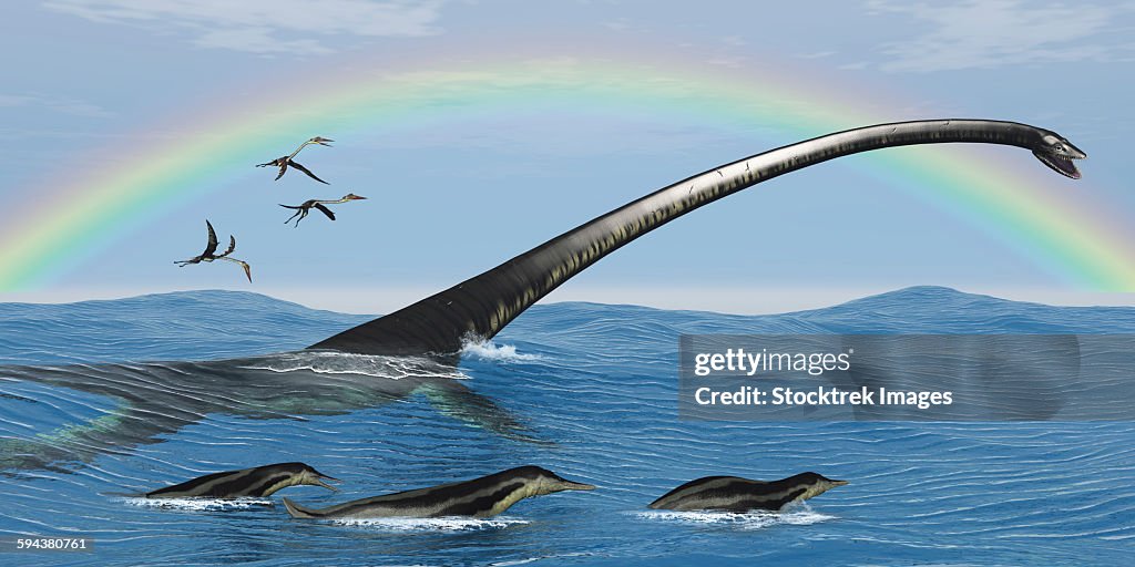 Elasmosaurus tries to capture a Dolichorhynchops reptile.