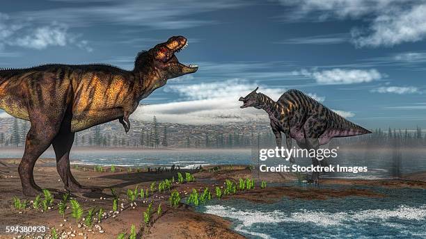battle between tyrannosaurus rex and saurolophus. - triassic landscape stock illustrations