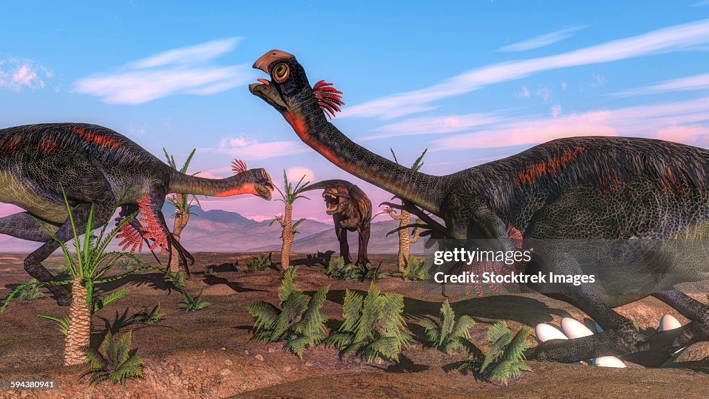 Tyrannosaurus rex attacking Gigantoraptor dinosaurs and their eggs.