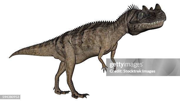 ceratosaurus dinosaur, white background. - scute stock illustrations