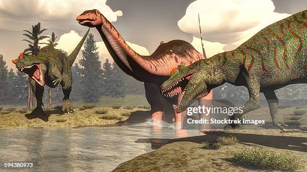 ilustraciones, imágenes clip art, dibujos animados e iconos de stock de two allosaurus dinosaurs attacking a large apatosaurus standing in the water. - allosaurus