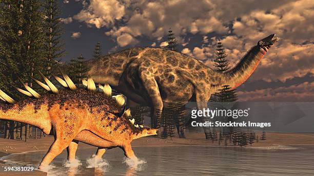 dicraeosaurus and kentrosaurus dinosaur walking peacefully next to calamite trees by sunset. - scute stock illustrations