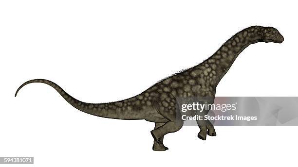 stockillustraties, clipart, cartoons en iconen met argentinosaurus dinosaur isolated on white background. - argentinosaurus