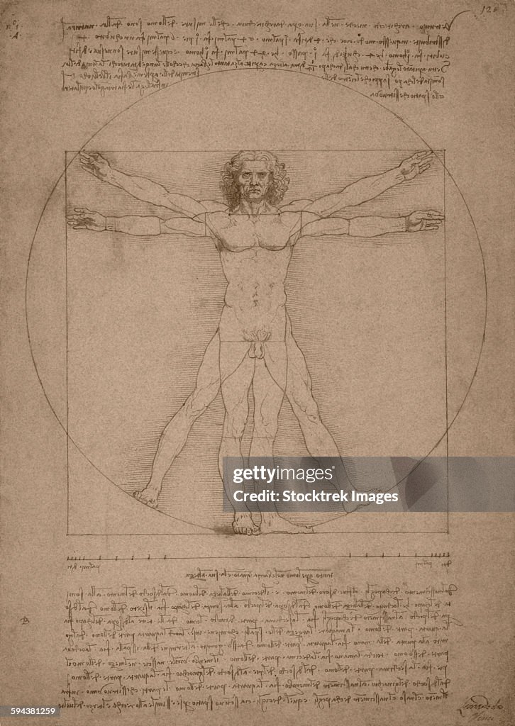 Leonardo da Vincis Vitruvian Man, circa 1490.