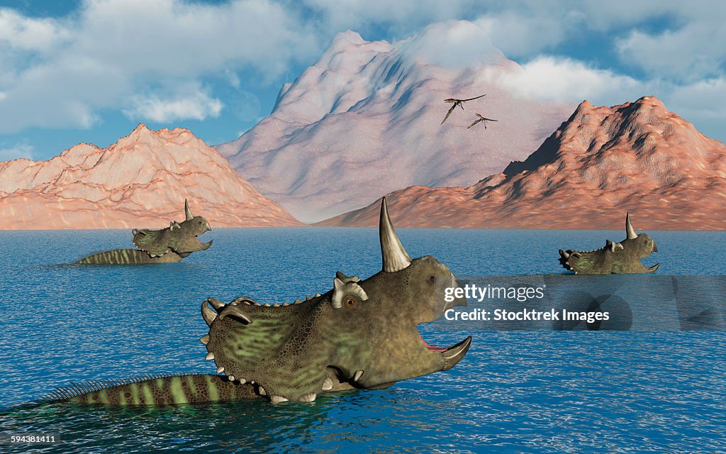 Centrosaurus dinosaurs migrating across a river during the Cretaceous Period.