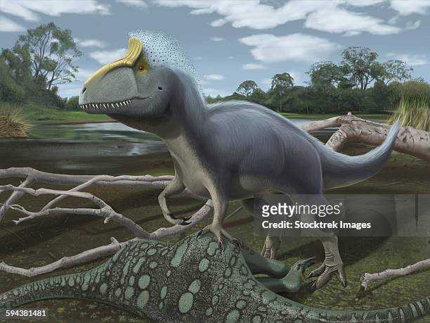 cryolophosaurus standing over its prey. - day of the dead stock-grafiken, -clipart, -cartoons und -symbole