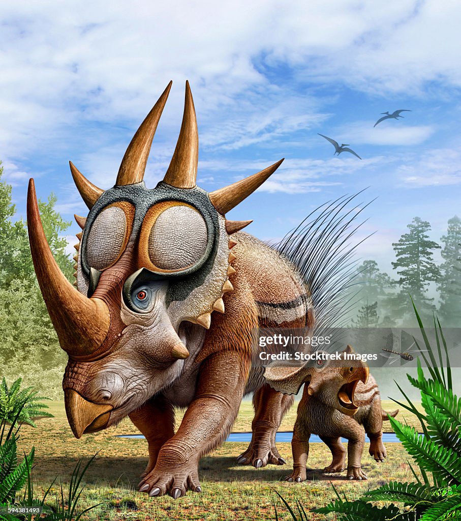 A Rubeosaurus and his offspring roam a prehistoric environment.
