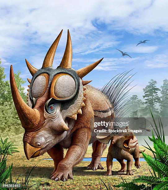 a rubeosaurus and his offspring roam a prehistoric environment. - ankylosaurus stock illustrations