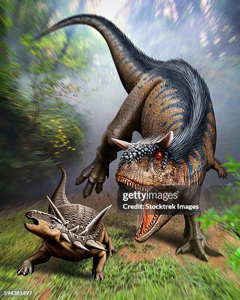 carnotaurus attacking an antarctopelta from the late cretaceous period. - thyreophora stock illustrations