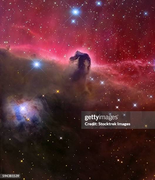 the horsehead nebula, barnard 33 in the orion constellation. - space and astronomy stock pictures, royalty-free photos & images