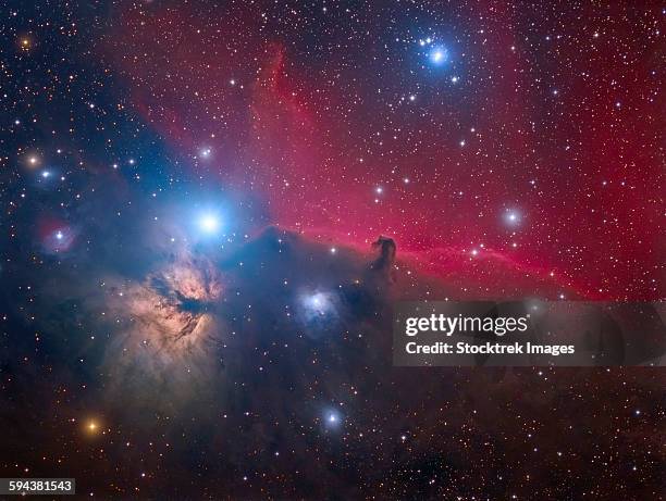 the horsehead nebula and flame nebula in the orion constellation. - nebulosa cabeza de caballo fotografías e imágenes de stock