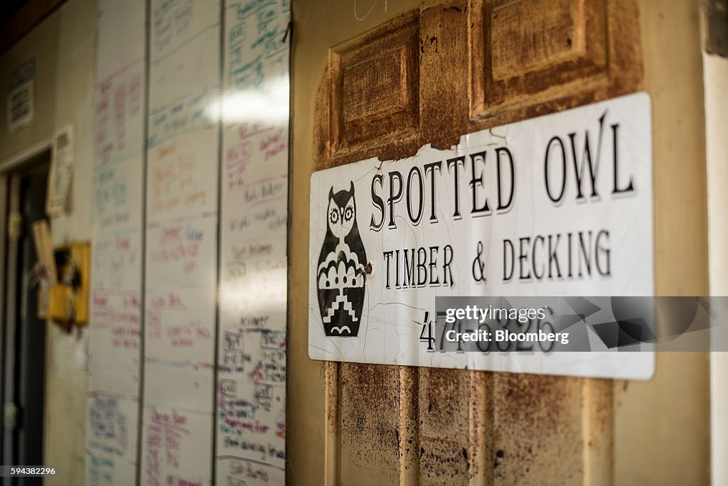 Operations Inside The Spotted Owl Timber Inc. Mill