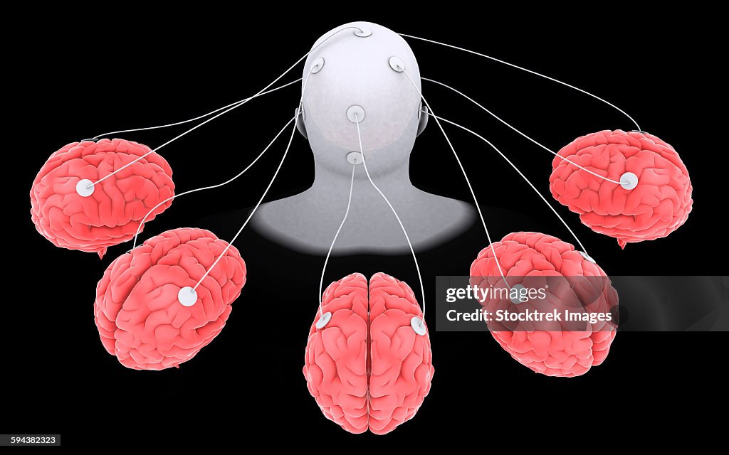 Conceptual image of multi-brain processing.
