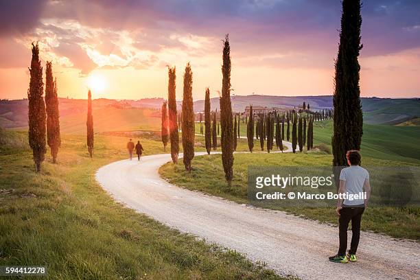 valdorcia, siena, tuscany, italy. man wathing a couple walking on a road of cypresses to a farm with a stormy sunset in the background. - italian cypress fotografías e imágenes de stock