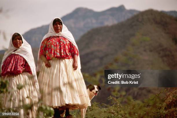 two tarahumara women with dog - tarahumara stock pictures, royalty-free photos & images