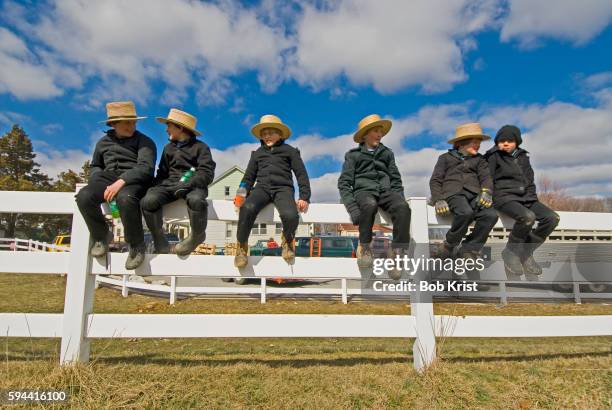 amish children watching horse auction - amish straw hat stock pictures, royalty-free photos & images