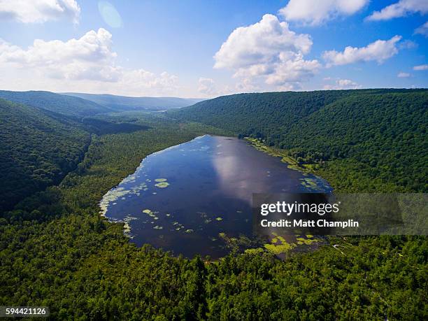 aerial of the labrador pond - data lake stock pictures, royalty-free photos & images