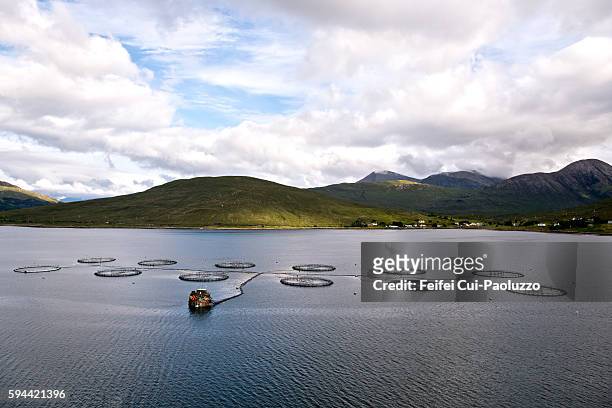 fish cages in the loch sligachan of isle of skye scotland - fish farm stock pictures, royalty-free photos & images