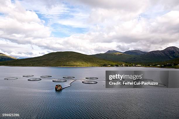 fish cages in the loch sligachan of isle of skye scotland - aquaculture scotland stock pictures, royalty-free photos & images