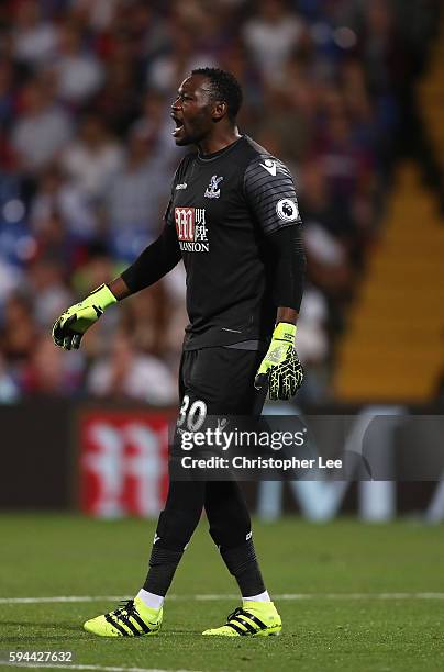 Goalkeeper Steve Mandanda of Crystal Palace in action during the EFL Cup Second Round match between Crystal Palace and Blackpool at Selhurst Park on...