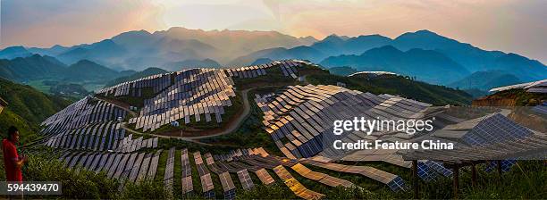 View of Xinyi photo-voltaic power station on August 21, 2016 in Songxi, China. PHOTOGRAPH BY Feature China /