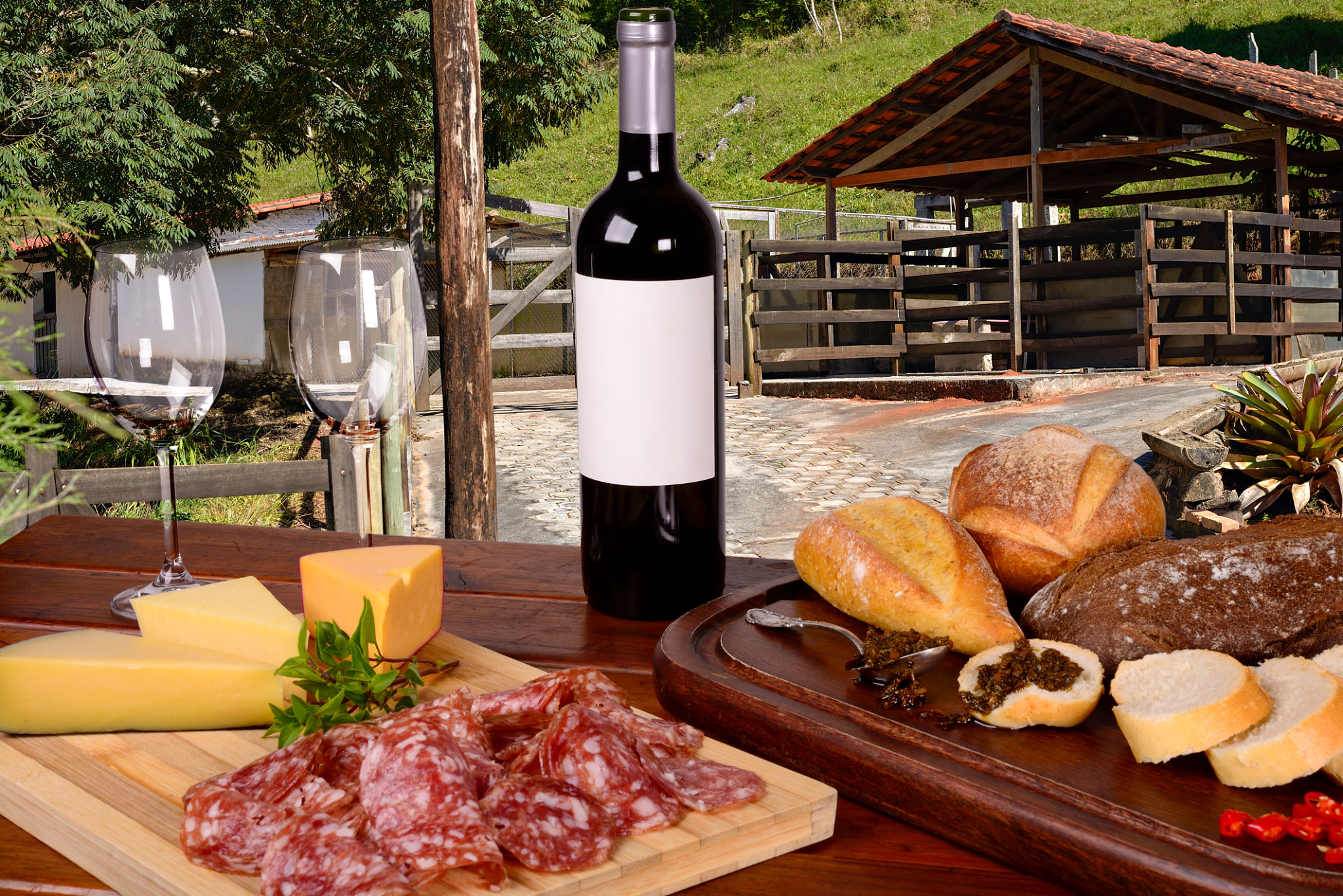 vinho e gastronomia