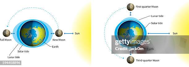 oceans tides illustration - physics diagram stock illustrations