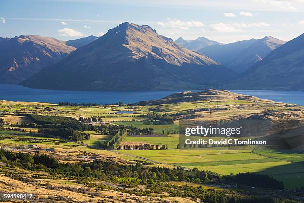 rural scene beside lake wakatipu, queenstown - new zealand rural stock pictures, royalty-free photos & images