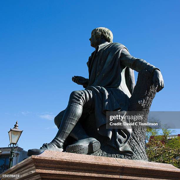 statue of robert burns in the octagon, dunedin - dunedin stock pictures, royalty-free photos & images