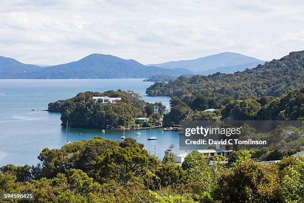 view over golden bay, oban, stewart island - stewart island stock-fotos und bilder