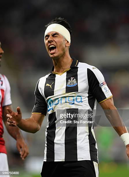 Newcastle goalscorer Ayoze Perez reacts during the EFL Cup Round Two match between Newcastle United and Cheltenham Town at St. James Park on August...