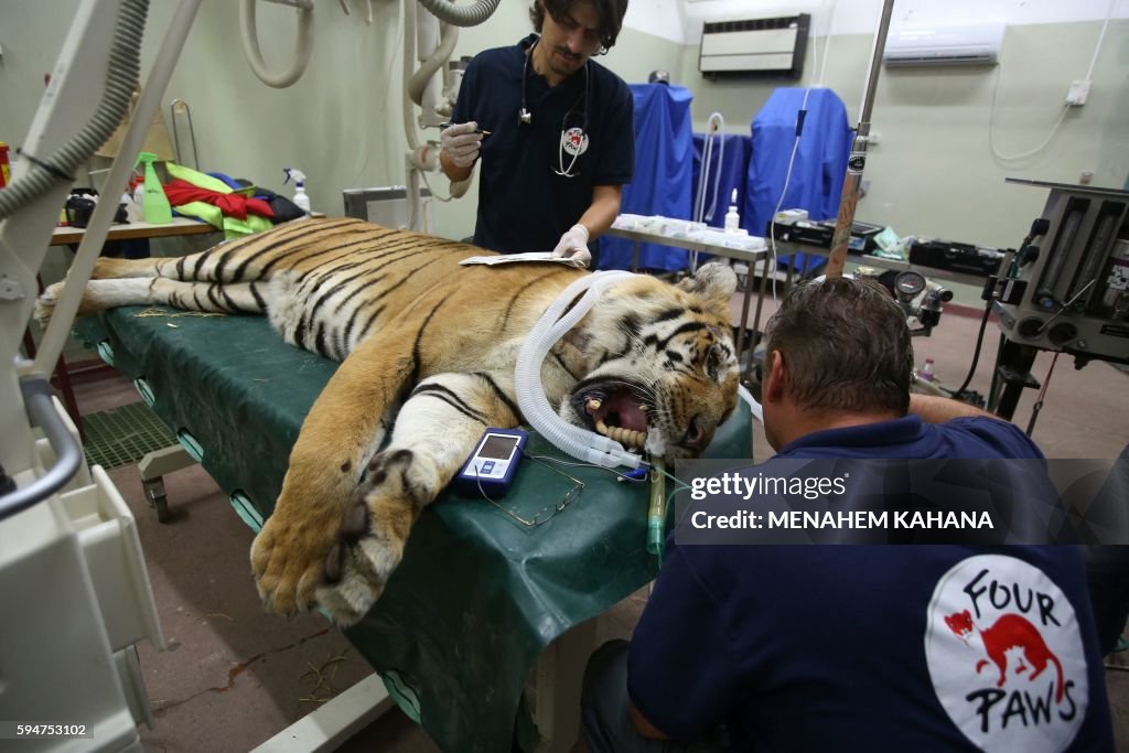 ISRAEL-PALESTINIAN-CONFLICT-GAZA-ZOO