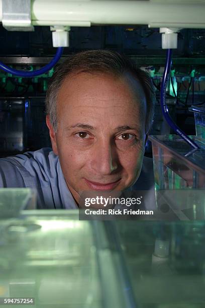 Mark Fishman 300 Mark Fishman Stock Photos, High-Res Pictures, and Images - Getty Images