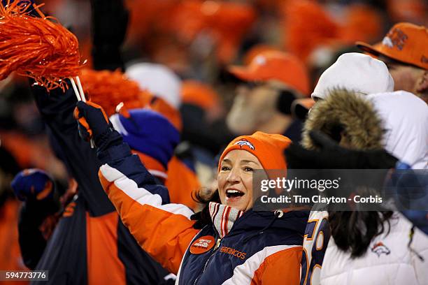 Fans react during the Denver Broncos vs Pittsburgh Steelers, NFL Divisional Round match at Authority Field at Mile High, Denver, Colorado. 17th...