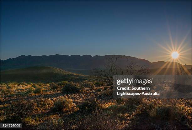 Slinger Ranges 492 Southern Flinders Ranges Stock Photos, High-Res Pictures, and ...
