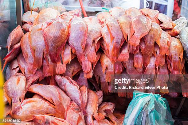 paloquemao market, red fish at a market for sale in bogota colombia - paloquemao stock pictures, royalty-free photos & images