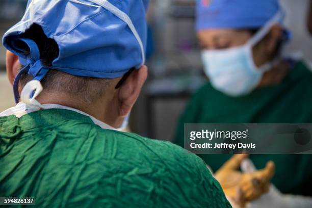 surgeon working in operating room - bangladesh stock-fotos und bilder