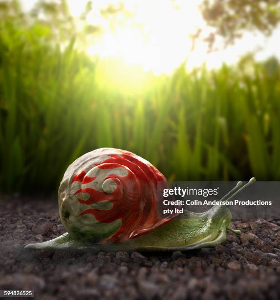 Snail Racing Shells Snail Racing Photos and Premium High Res Pictures - Getty Images