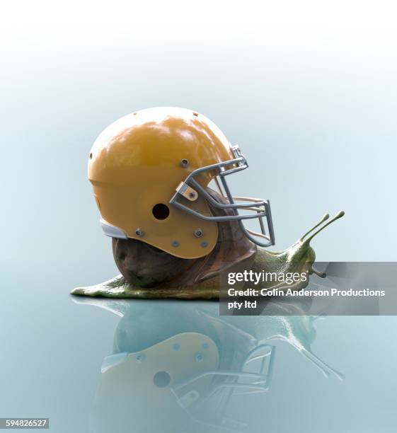 snail wearing football helmet on shell - protection stockfoto's en -beelden