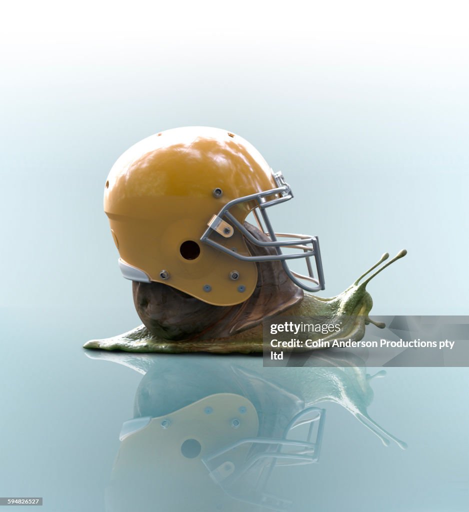 Snail wearing football helmet on shell