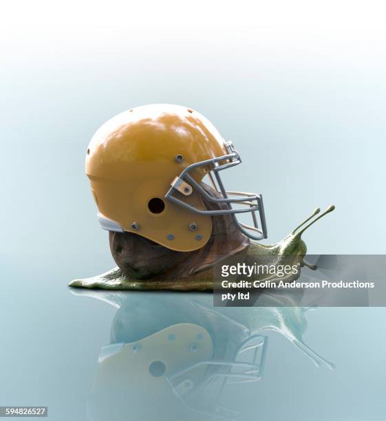 snail wearing football helmet on shell - protection bildbanksfoton och bilder
