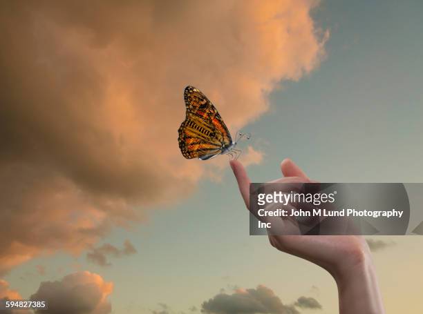 butterfly with circuit board wings perching on finger in sky - hybrid cloud stock pictures, royalty-free photos & images