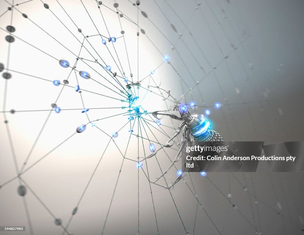 Robotic spider climbing spider web