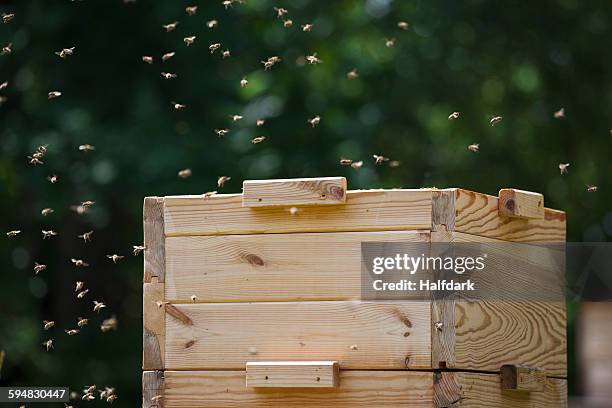 bees flying around beehive at farm - bee hive ストックフォトと画像