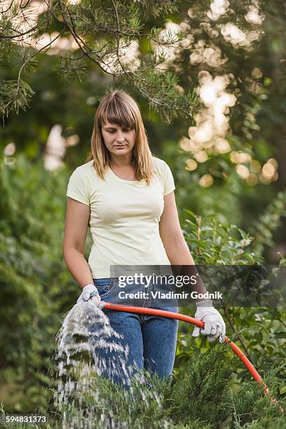 woman watering plants at yard - voronezh stock pictures, royalty-free photos & images