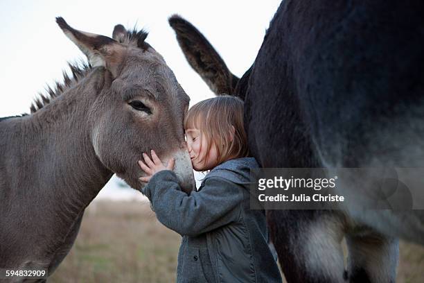 side view of cute girl kissing donkey on field - donkey stock-fotos und bilder